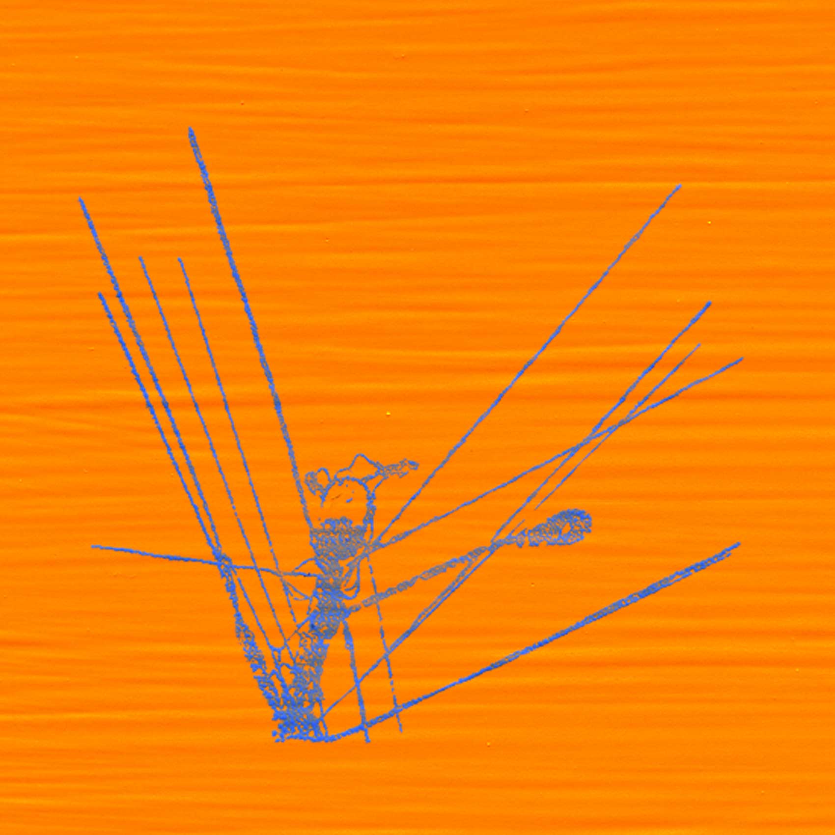 Wirey; blue; on orange; 030613