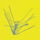 Wirey; blue; yellow; 030613
